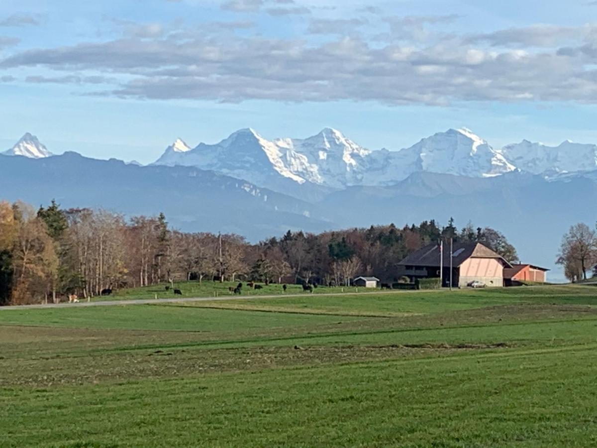 Mountain Home - Ein Aufenthalt Mit Weitblick Niedermuhlern Dış mekan fotoğraf